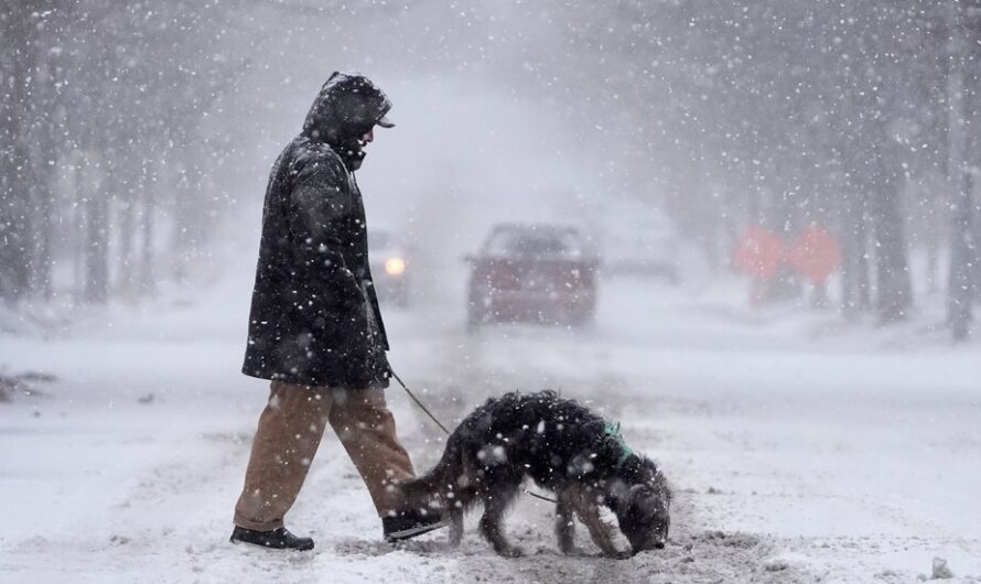 Winter Storm Brings Heavy Snow and Freezing Rain to the Mid-Atlantic