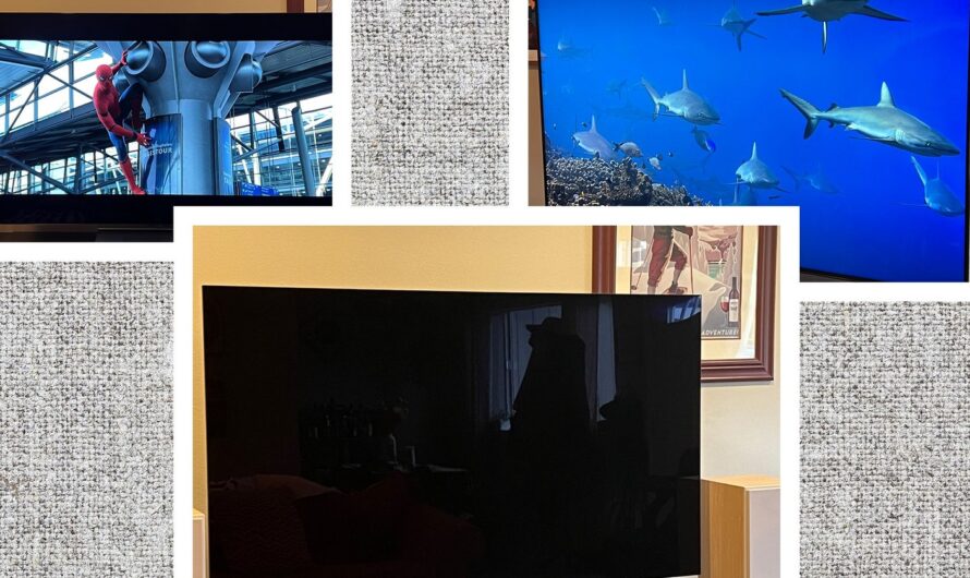 The 12 Best TVs We’ve Reviewed, Plus Buying Advice (2025)