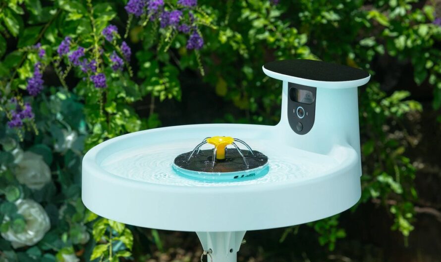 Birdfy’s Bath Pro is a bird bath take on the smart camera bird feeder